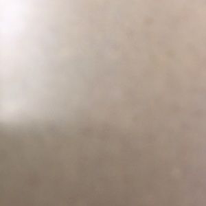 Meet your Posher, Abigail